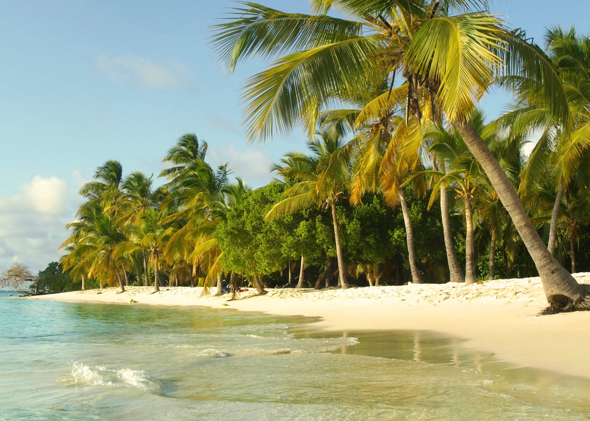 Fananoven advirtió caída en proyecciones turísticas ante suspensión de vuelos