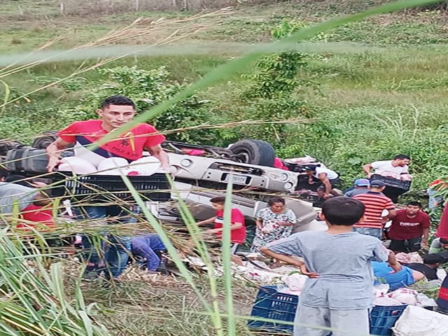 Camión cargado de pollos sufrió un vuelco y fue saqueado en el Zulia