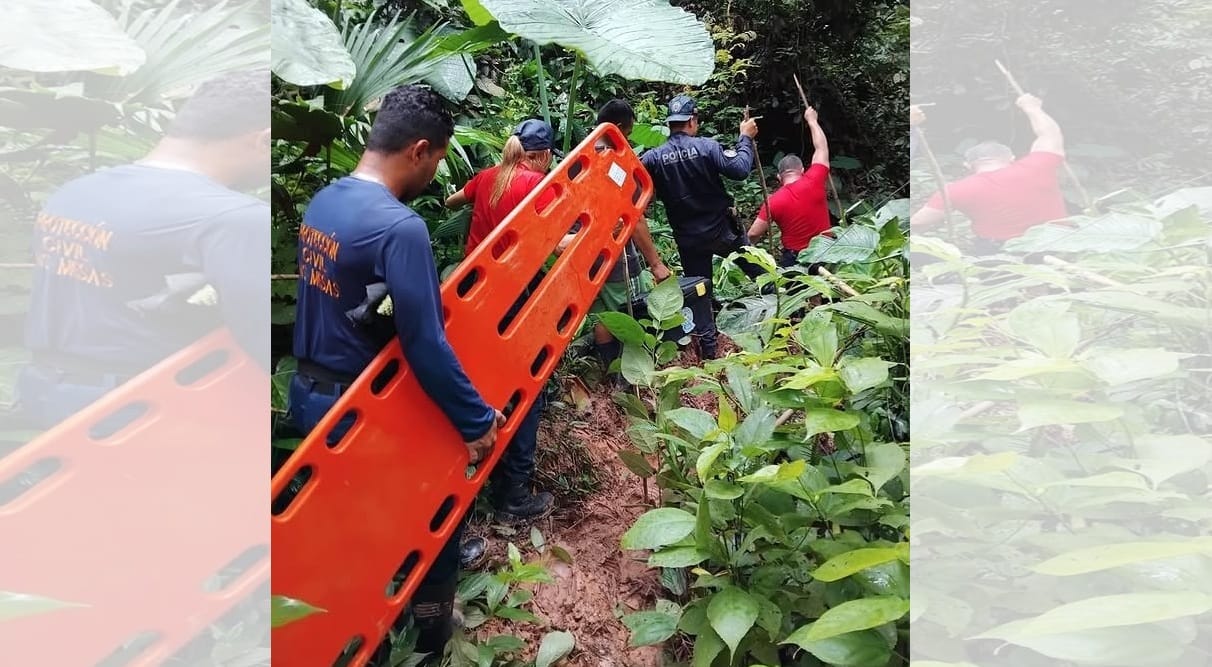 Joven de 24 años falleció tras caerle una rama encima en Táchira