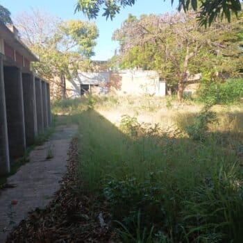 ANZOÁTEGUI | Alumnos y trabajadores de la UDO Anzoátegui exigieron jornada de desmalezamiento