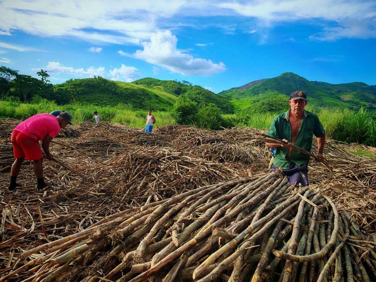 SUCRE | Central azucarero de Cumanacoa comenzará a trabajar «en las próximas semanas»