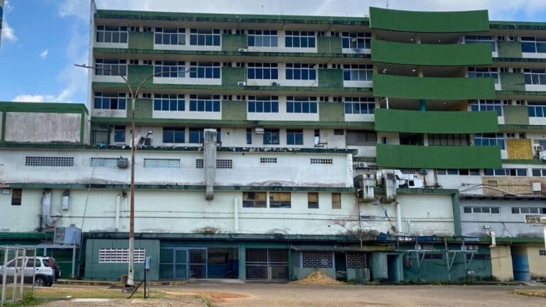 Niño de 8 años murió tras caer de un árbol de mango en Monagas