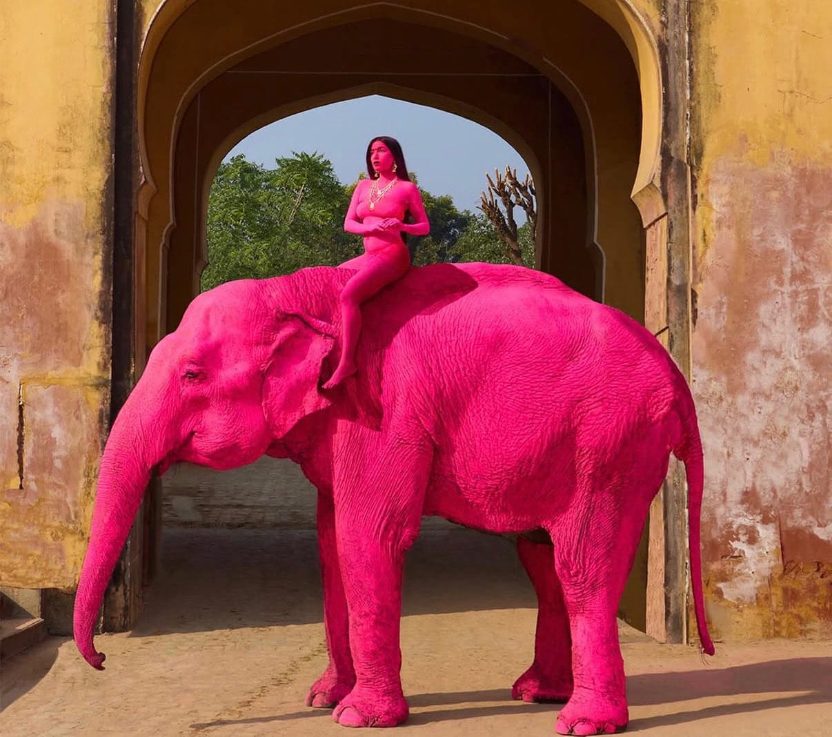 Investigan muerte de elefanta tras polémica sesión fotográfica en India