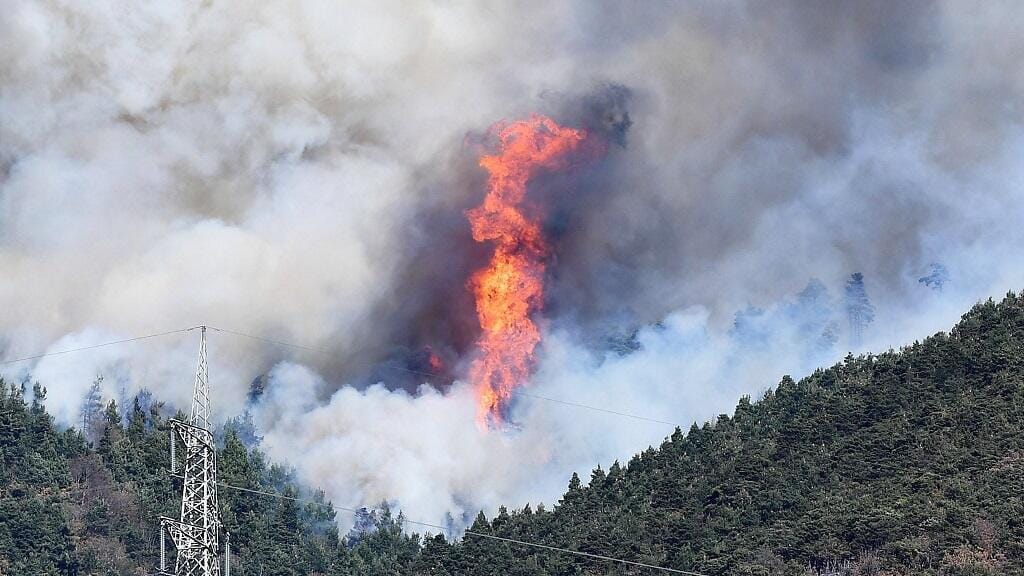 Evacuaron a más de 3.000 personas por incendio forestal en la Toscana