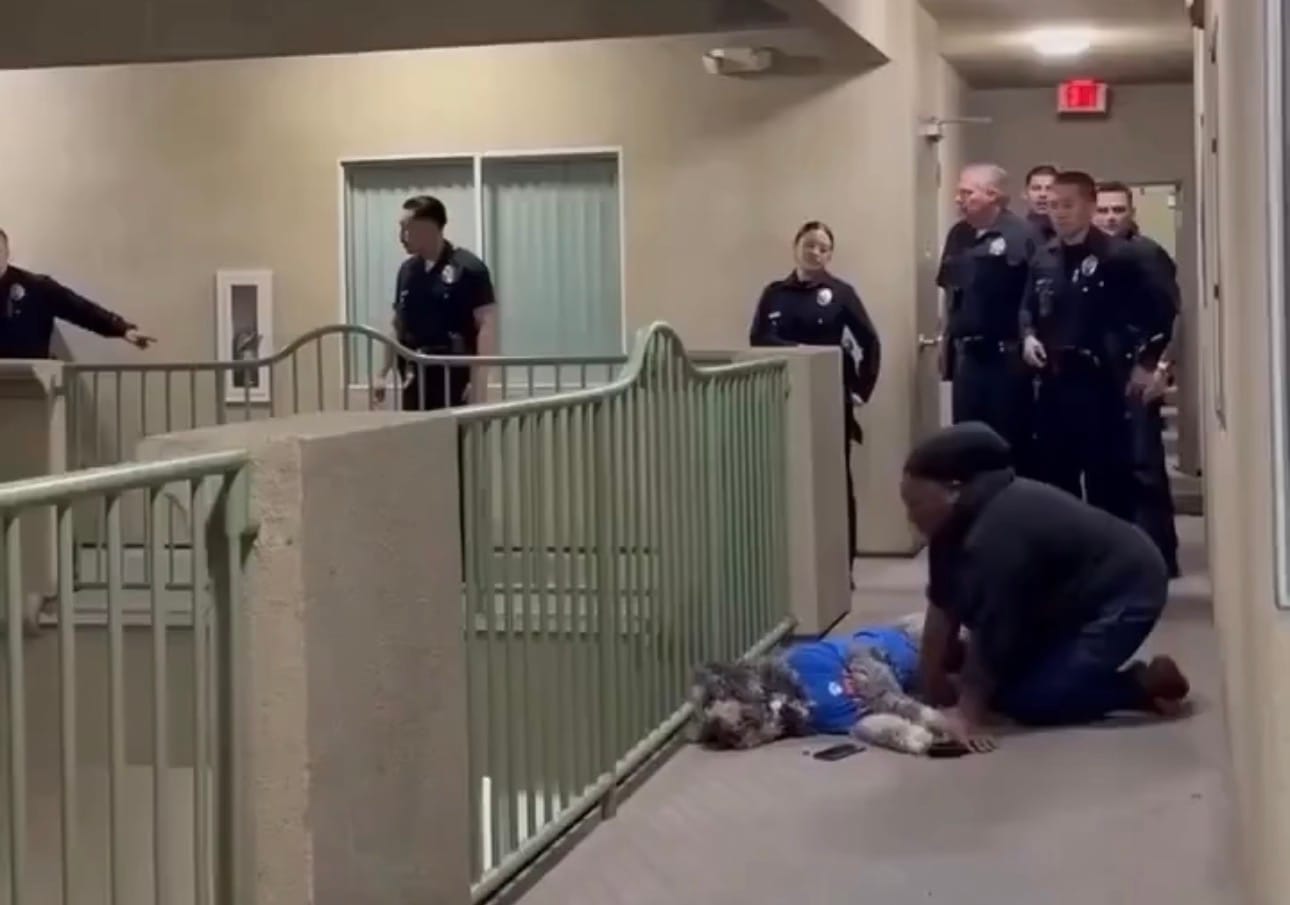 Policía de Los Ángeles atendió una queja vecinal y terminó matando a tiros al perro de una familia