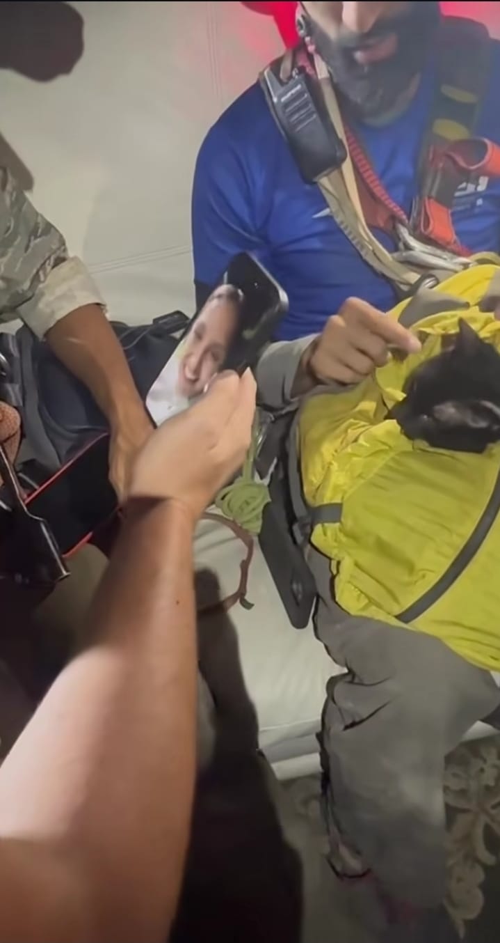Sobrevivió 34 días bajo los escombros: rescataron a un gato en el edificio El Jurel de La Guaira