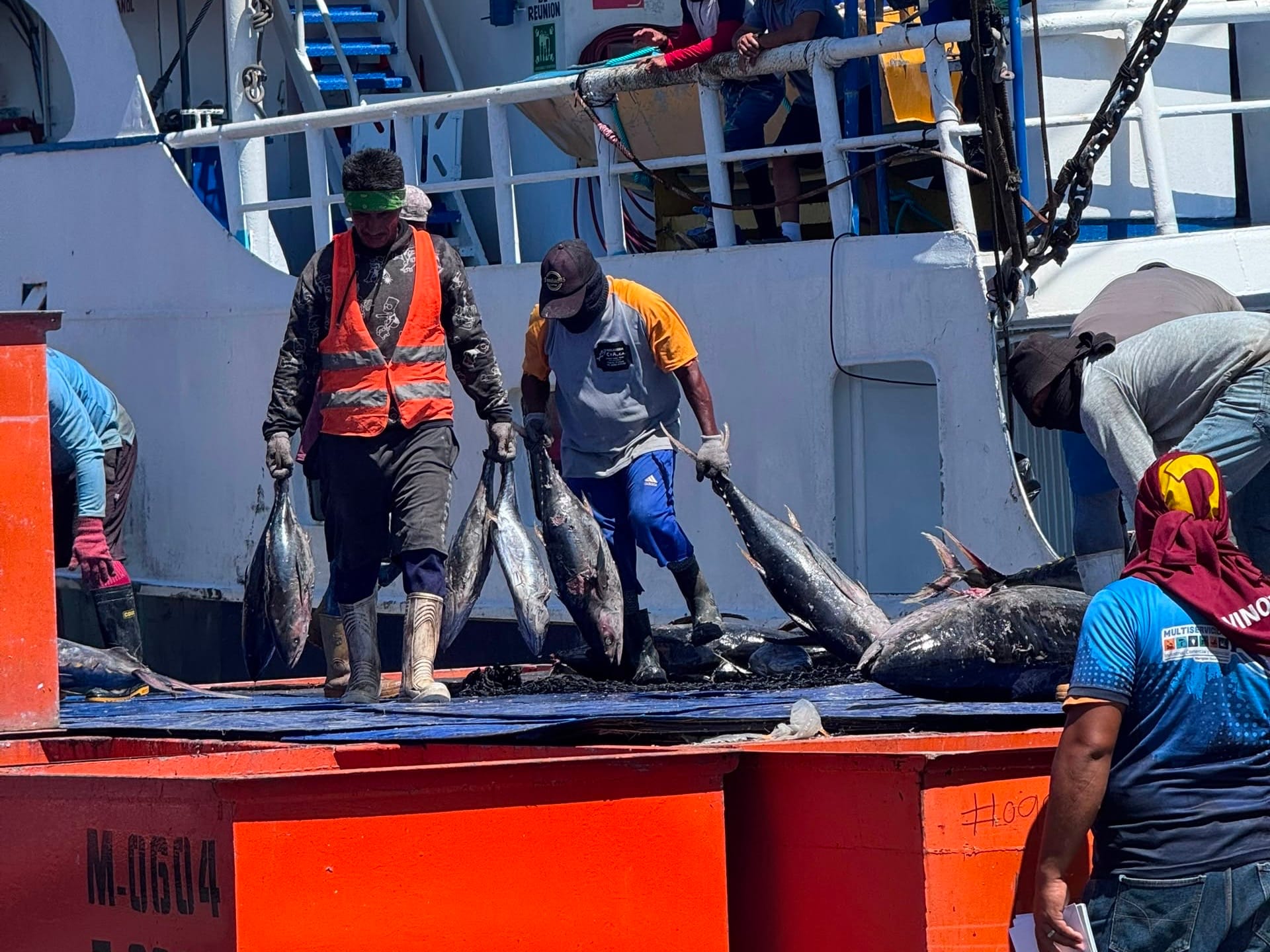SUCRE | Más de 550 toneladas de atun arribaron a Sucre para abastecer el mercado interno