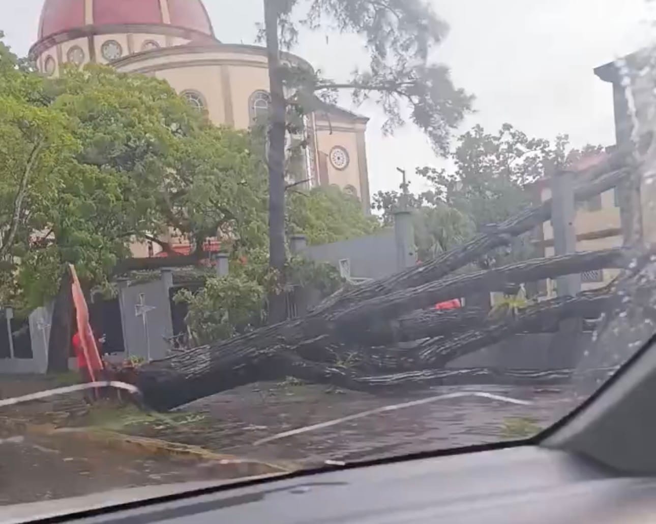 MONAGAS | Fuertes lluvias y ráfagas de viento provocaron la caída de varios árboles en sectores de Maturin