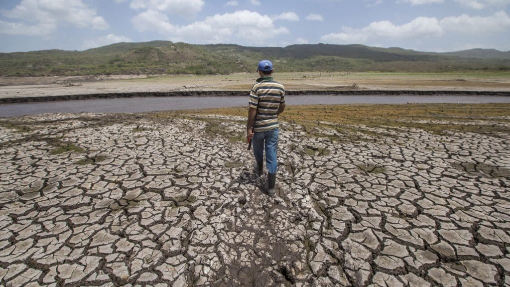 Efectos del fenómeno El Niño podrían extenderse hasta marzo de 2027 en Venezuela