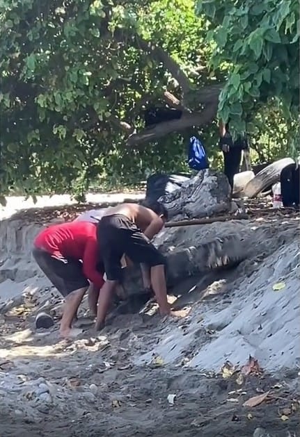 «Haciendo algo por La Guaira»: Jóvenes lanzaron campaña para limpiar las playas de la región