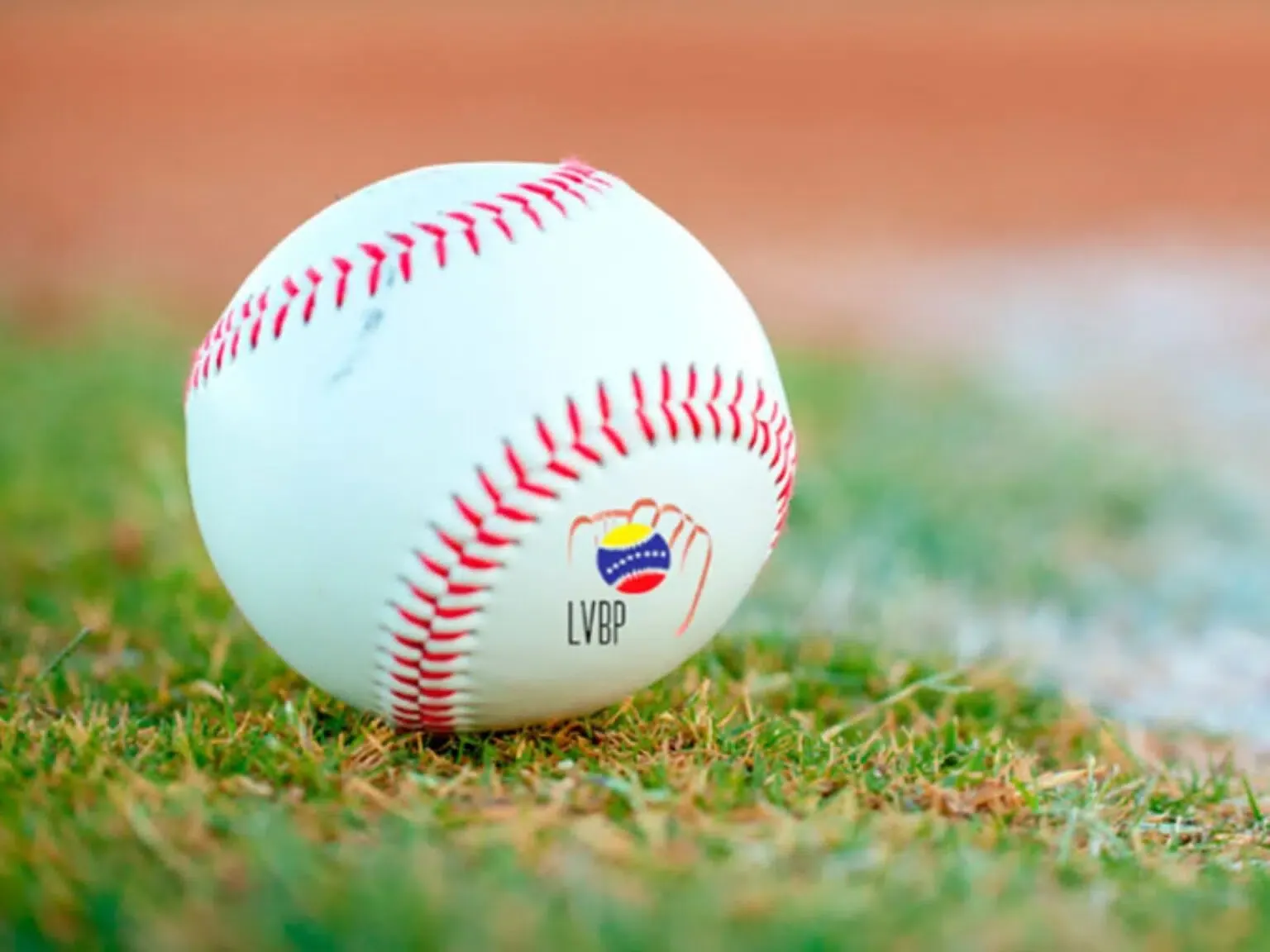 Béisbol profesional venezolano: conoce los partidos para este 23 de octubre y donde verlos
