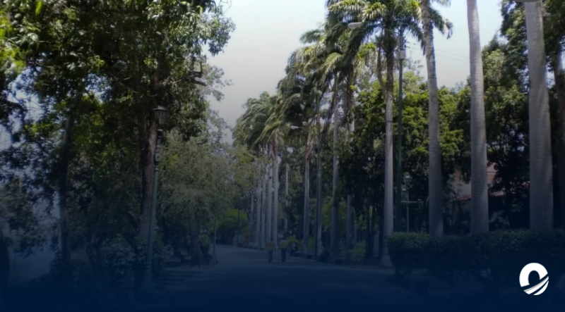 SUCRE | Colapso del tendido eléctrico persiste en el Parque Ayacucho: exigen acción gubernamental