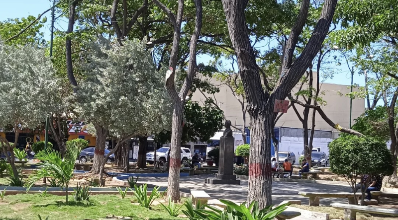 Sucre | Colapso de tendido eléctrico en la Plaza del Estudiante de Cumaná dejó al sector sin luz
