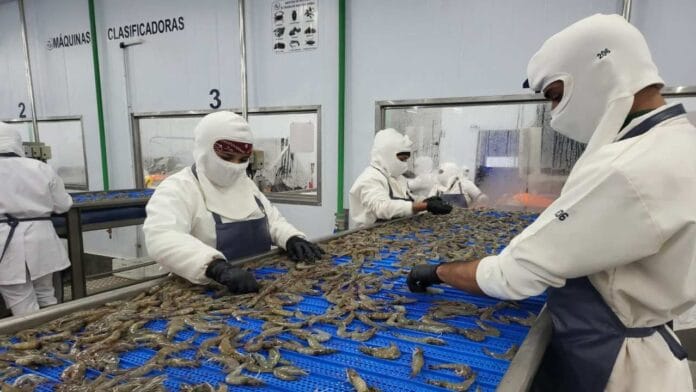 Gremio afirmó que el país podría convertirse en potencia acuícola con apoyo financiero