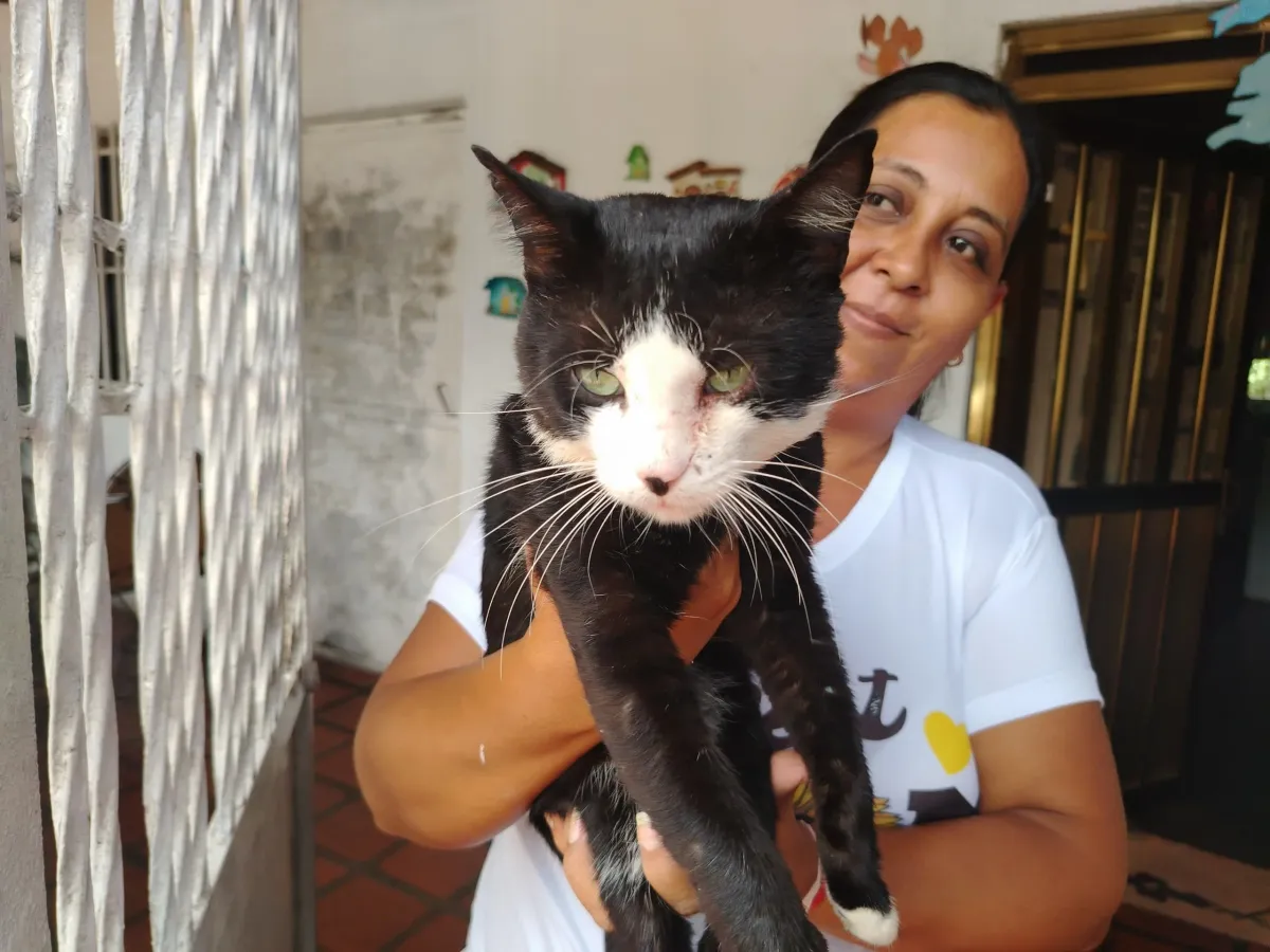 MONAGAS | Habitantes de La Murallita de Maturín denunciaron envenenamiento y quema de gatos