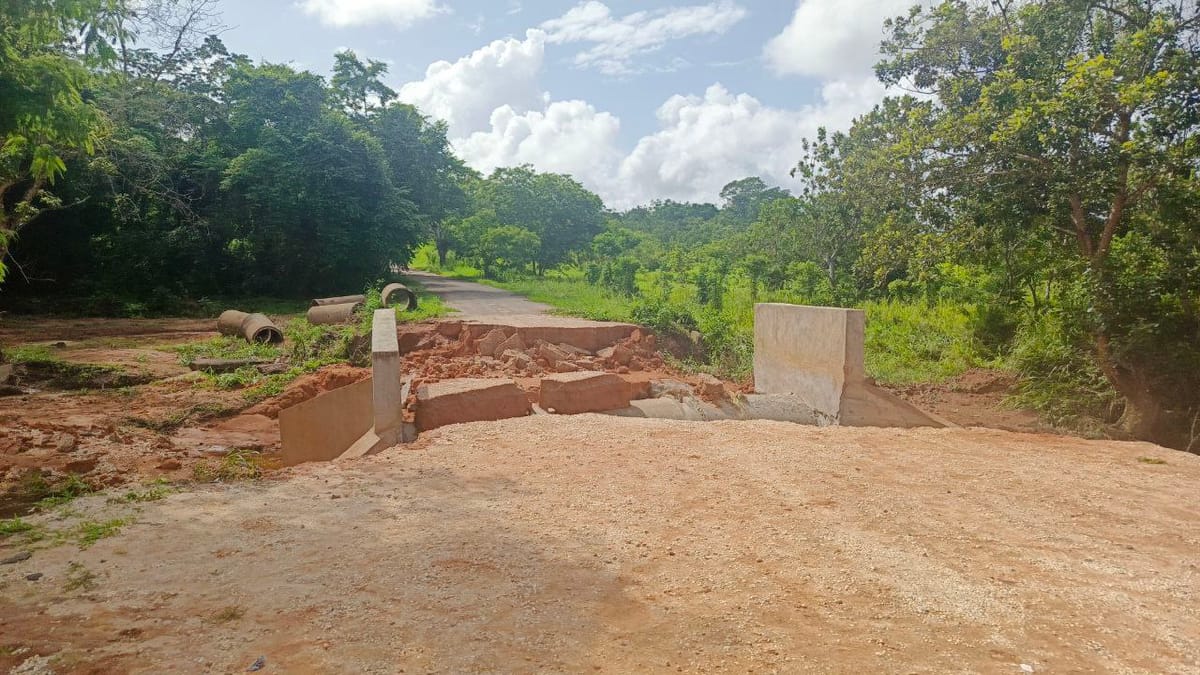 Colapso de puente dejó incomunicados a más de 300 productores en Delta Amacuro
