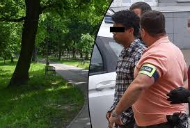 Venezolano podría enfrentar cadena perpetua tras asesinar a una mujer en Polonia