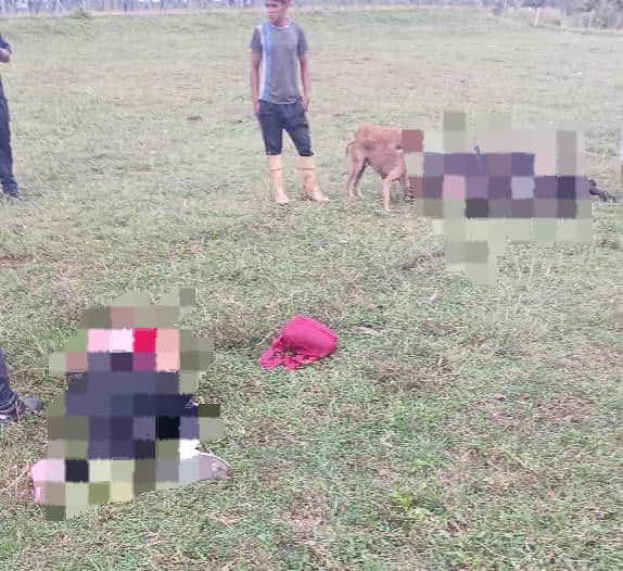 Mujer murió tras impactar su moto contra una vaca en Monagas