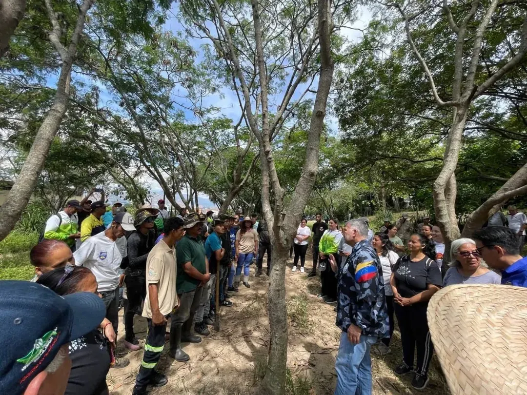 Minec sembró 74.000 plantas para reforestar áreas verdes del país