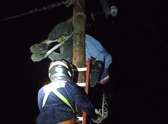 Hombre fue hallado sin vida en un poste eléctrico en Anaco