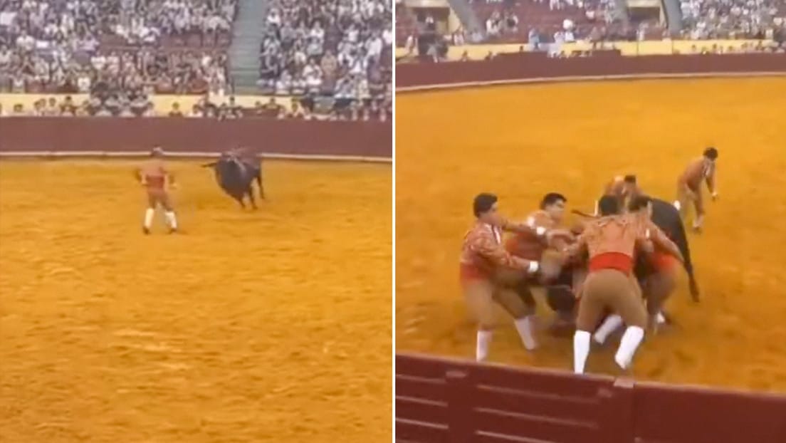 Joven torero falleció tras ser embestido por un toro de 700 kg en Portugal