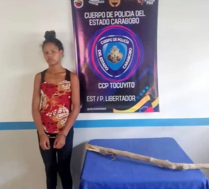 Detenida mujer en Carabobo por agredir a un perro con un palo