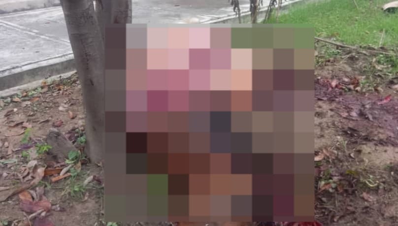 Hallaron el cadáver de un caballo desmembrado en una escuela de Aragua