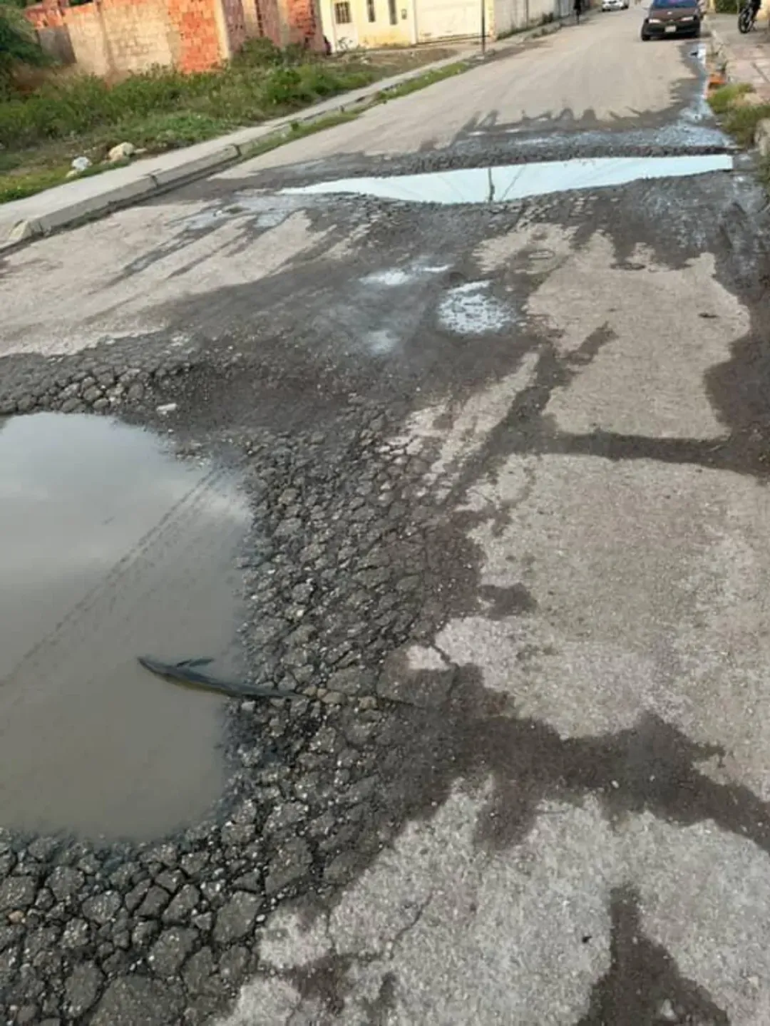 NUEVA ESPARTA | Mal estado de la vialidad aqueja a habitantes de la calle Los Primos