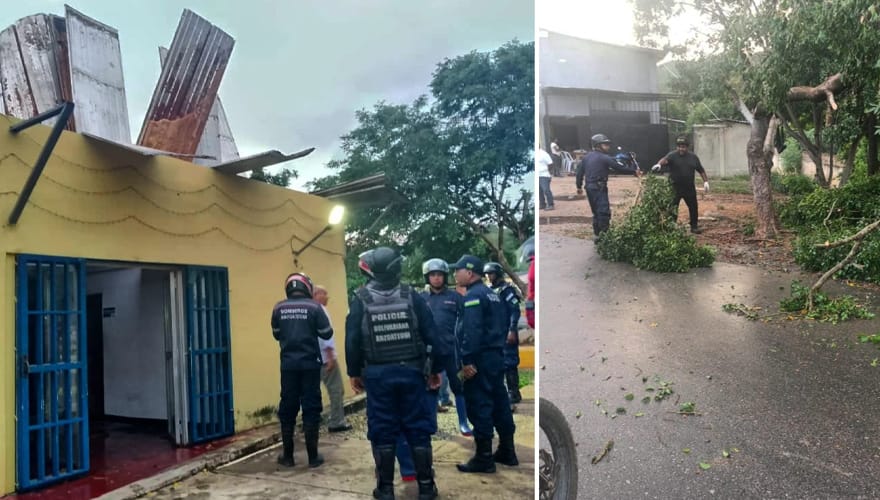ANZOÁTEGUI | Fuertes lluvias registradas en Píritu causaron caídas de arboles y afectaciones en viviendas