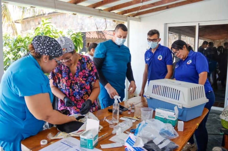 NUEVA ESPARTA | Alcaldía de Maneiro y Colegio de Veterinarios se unieron en jornada de esterilización de mascotas