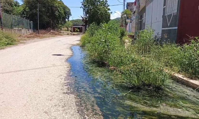 SUCRE | Contaminación por aguas servidas afecta a familias de Brisas de Pantanillo