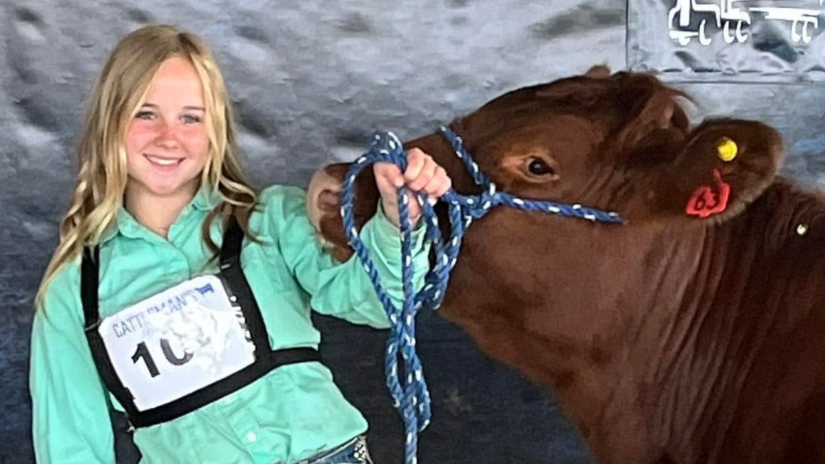 Padre mató accidentalmente a su hija tras disparar a un pájaro en Estados Unidos