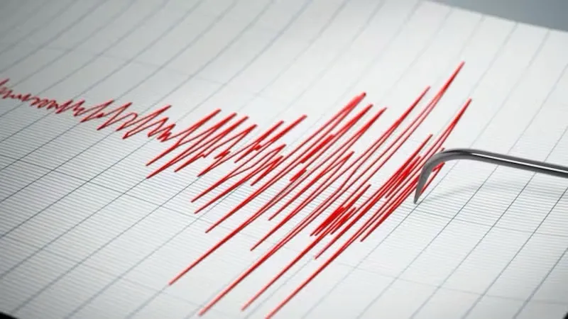 Se registró un sismo de magnitud 6,5 en la provincia de Papúa Centralen, en Indonesia