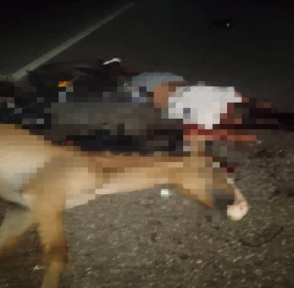 Delta Amacuro: Motorizado falleció tras colisionar contra un caballo