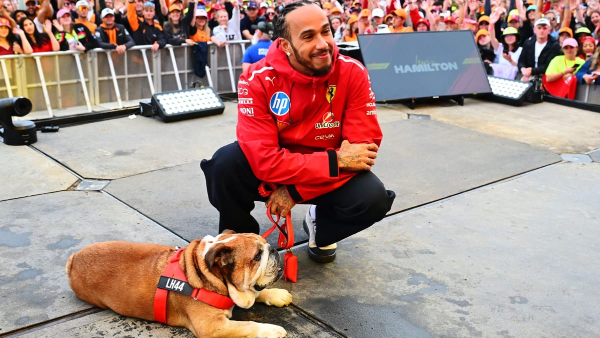 Falleció Roscoe, el bulldog del piloto Lewis Hamilton