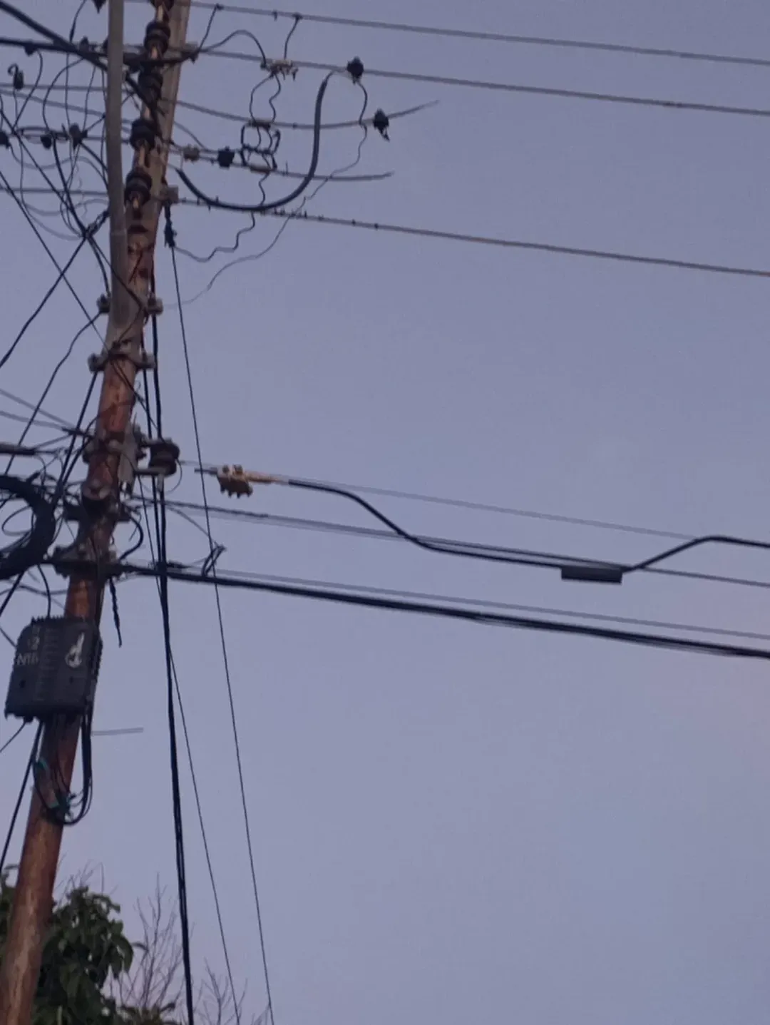 NUEVA ESPARTA | Habitantes de San Juan Bautista llevan más de dos días sin electricidad