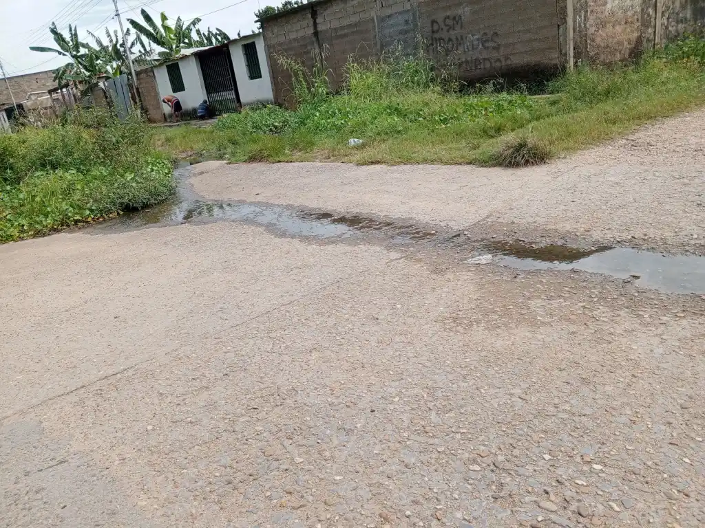 MONAGAS | Vecinos de El Silencio en Las Cocuizas denunciaron vivir entre cloacas y maleza