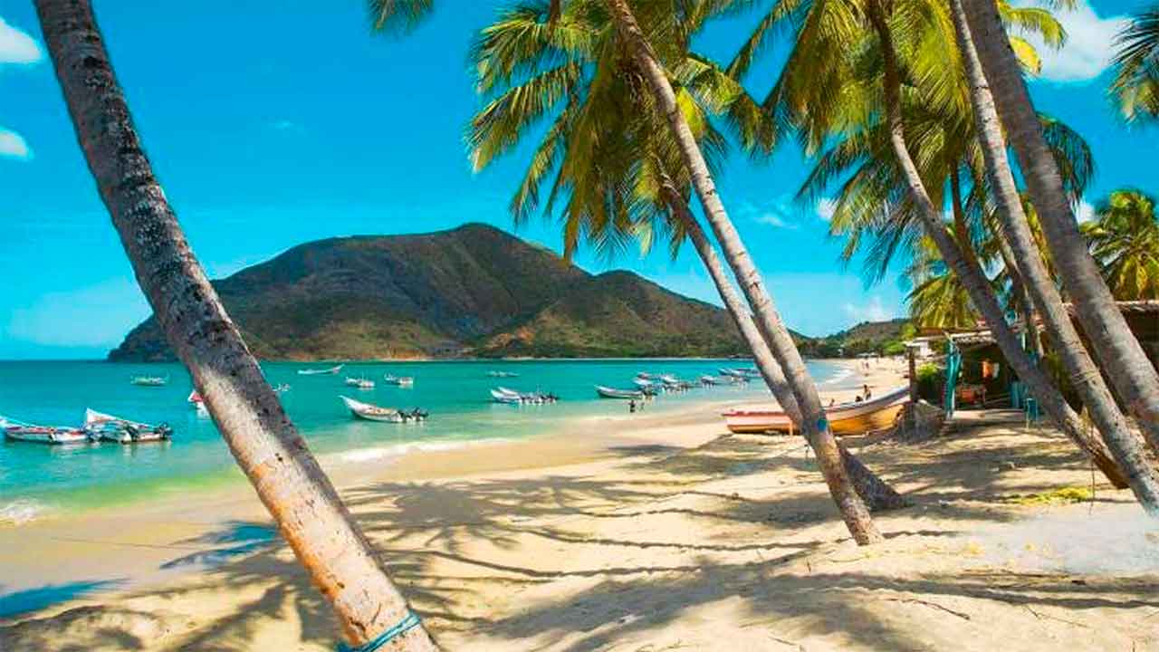 NUEVA ESPARTA | «Margarita IA», la tecnología que busca impulsar el turismo en la isla