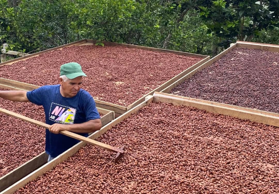 «Festival del Cacao y Chocolate Pariano 2025»: Río Caribe se convertirá en el epicentro chocolatero