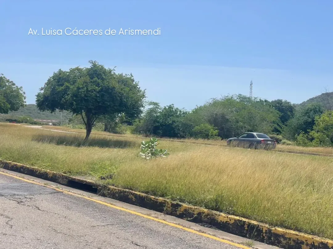 NUEVA ESPARTA | Habitantes de Maneiro exigieron desmalezamiento y limpieza de avenidas