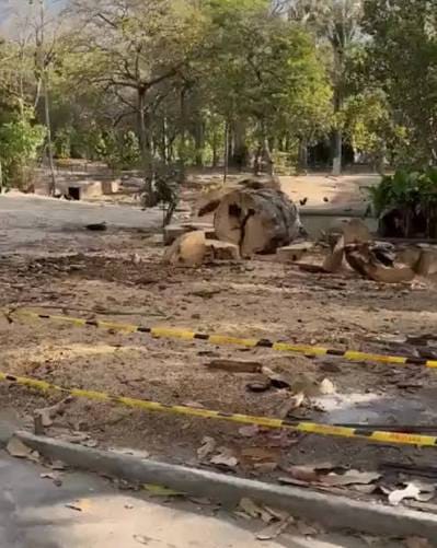 Periodista denunció estado de abandono de la laguna del Parque del Este en Caracas