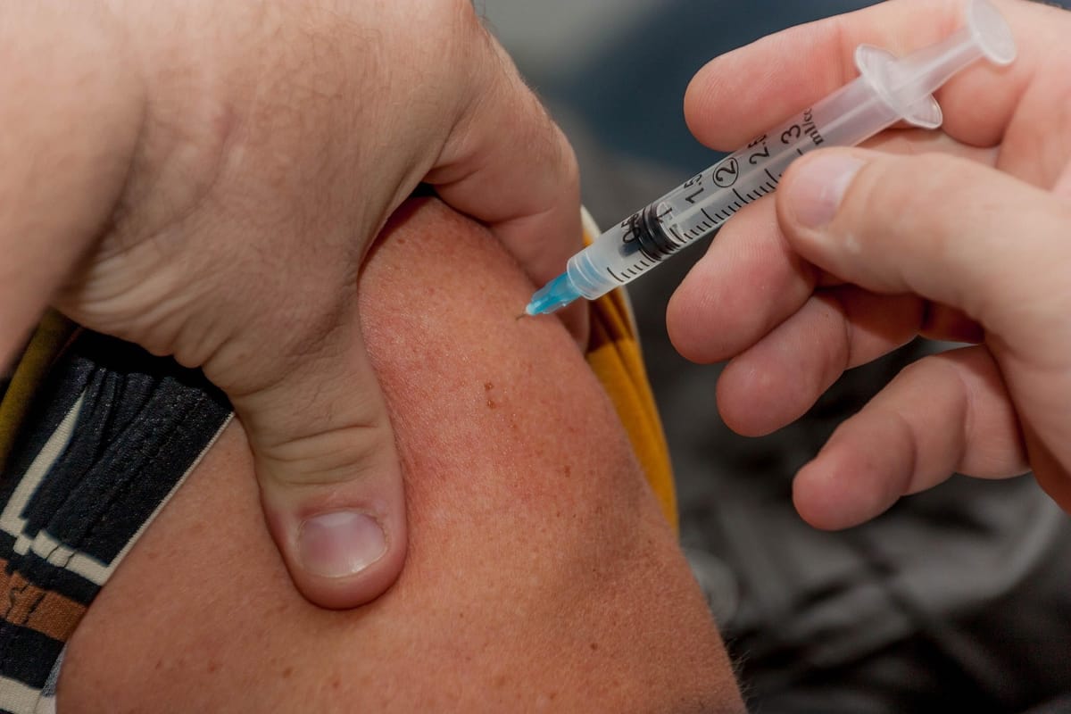 Cuatro estados de Venezuela exigirán vacunación contra la fiebre amarilla a viajeros