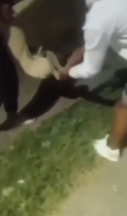 Detenidos tres jóvenes en Güiria por matar a golpes y puñaladas a un perro comunitario