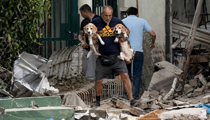 Solicitan donaciones para atender a mascotas refugiadas en el Parque del Este tras terremotos
