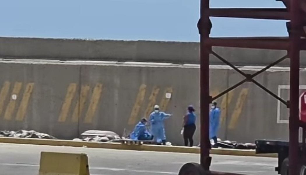 Senamecf inició trabajos de reconocimiento de muertos por terremotos en La Guaira