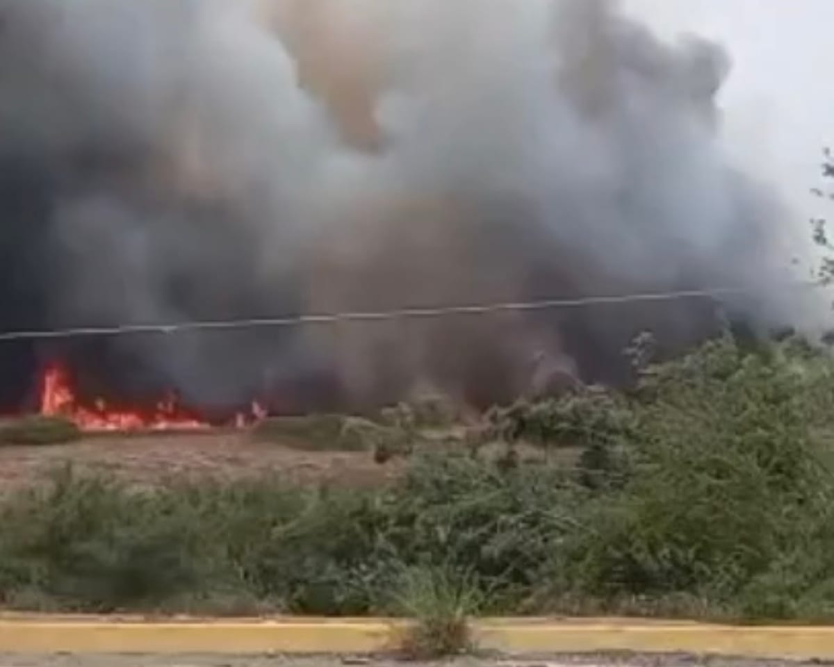 SUCRE | Incendio forestal fue reportado en la Av. Carúpano de Cumaná este domingo #5Jul