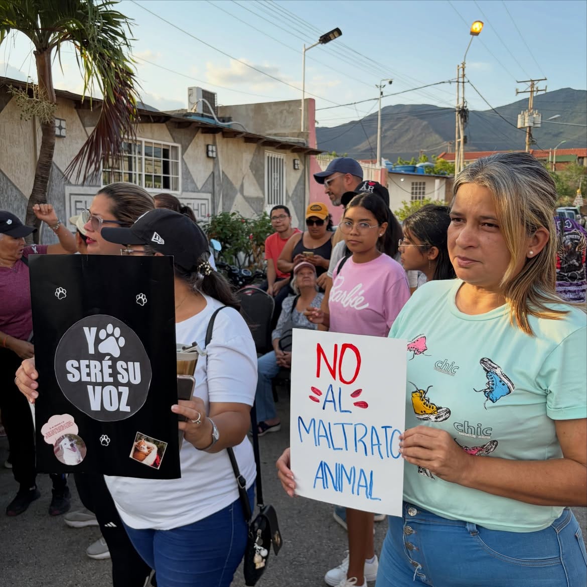 NUEVA ESPARTA | Habitantes de Margarita protestaron para exigir justicia por envenenamiento de perros y gatos comunitarios