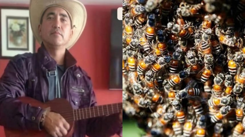 En Guárico: Hombre murió tras ser atacado por un enjambre de abejas
