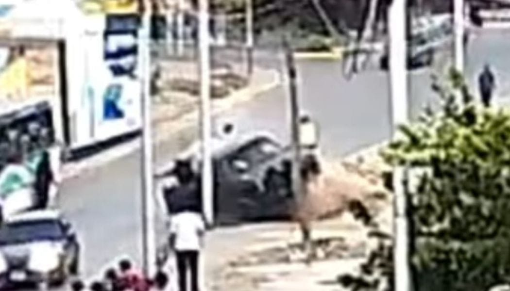 Policía resultó herida tras ser atropellada por una camioneta en Cumaná
