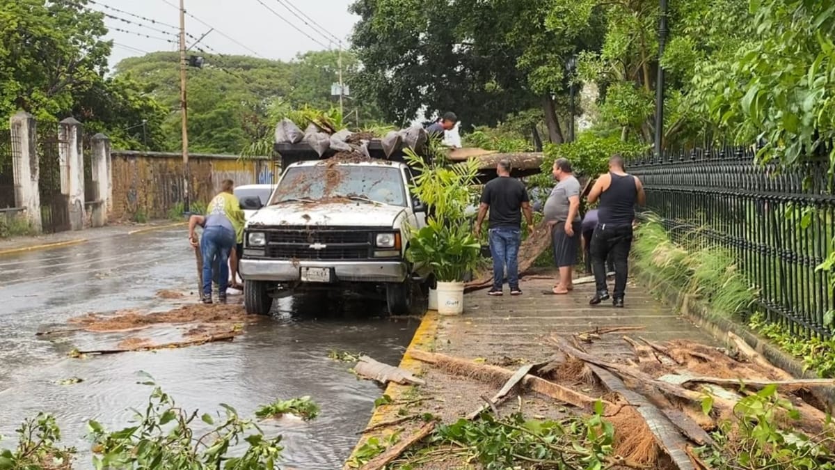 Lluvias dejaron árboles caídos, calles inundadas y fuertes vientos en Lara